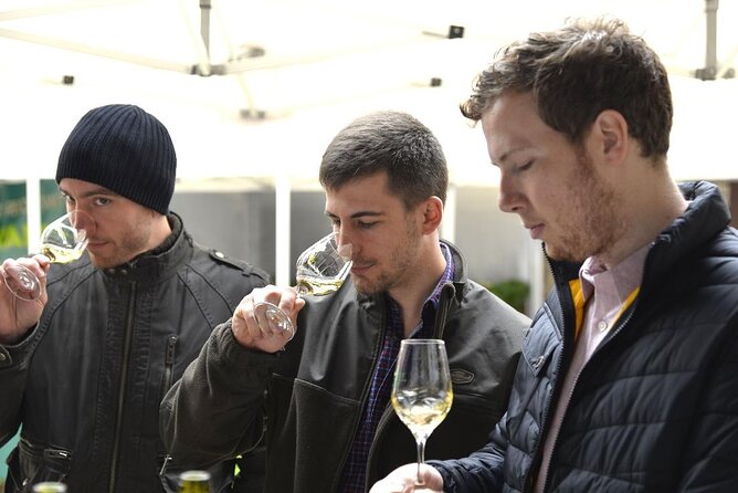 Visit and Chablis Wine Tasting at Domaine Clotilde Davenne in English - Highlights From Traveler Reviews
