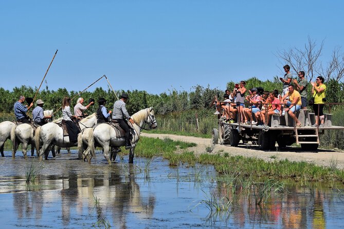 Visit and Discovery in the Heart of the Camargue - Experiencing the Guardians Profession
