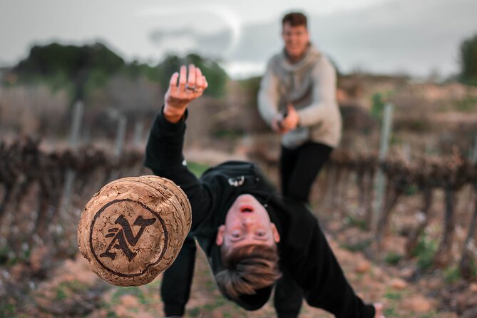 Visit and Guided Tasting at Vives Ambros Winery in Montferri - Winery Tour and History