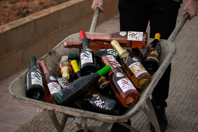 Visit and Guided Tasting at Vives Ambros Winery in Montferri - Accessibility and Transportation
