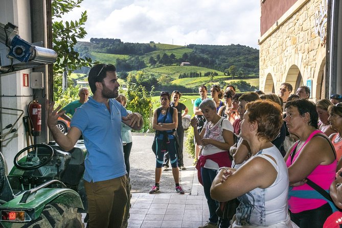 Visit and Private Tasting at the Txakolí Gaintza Winery - Meeting Point and Pickup