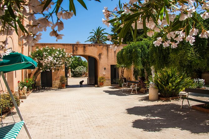 Visit and Private Tasting of EVO Oil and Organic Wine - Positive Guest Reviews