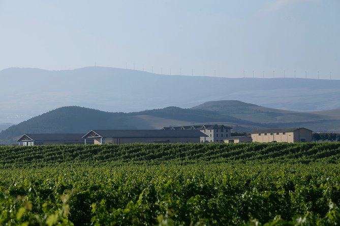 Visit and Tasting in Otazu - Schedule and Availability