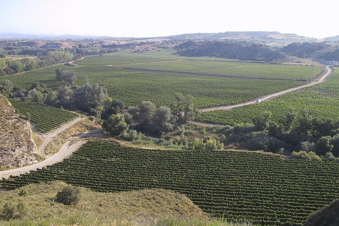 Visit and Wine Tasting at BODEGA PIRINEOS - Winemaking Process Explanation