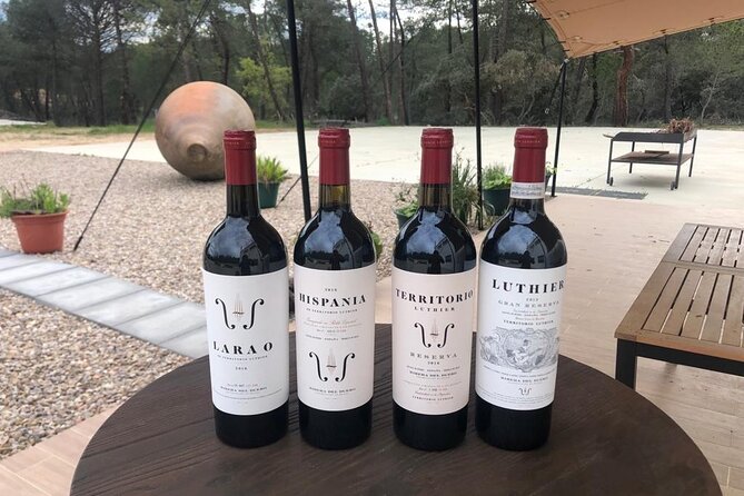 Visit and Wine Tasting at the Territorio Luthier Winery - Accessibility and Accommodations