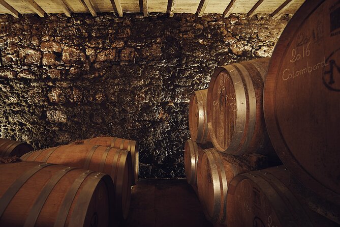 Visit and Wine Tasting: the Musketeers Wine - Immersive Vineyards and Gardens