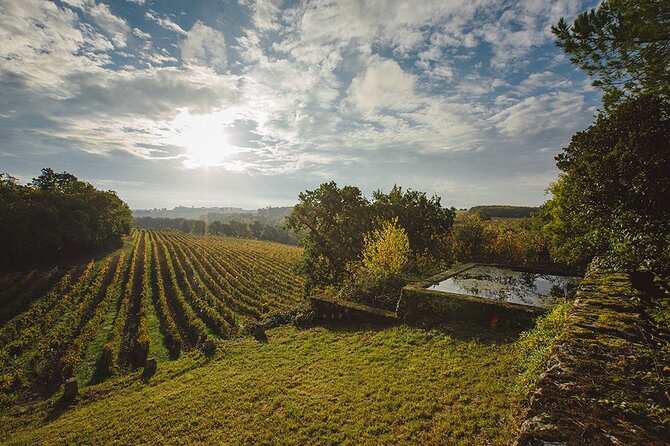 Visit and Wine Tasting: the Musketeers Wine - Armagnac Ageing Cellar