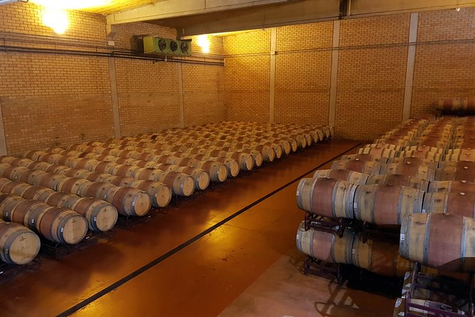 Visit and Wine Tasting With Sausage and BODEGA PIRINEOS Cheese - Wine Tasting Experience