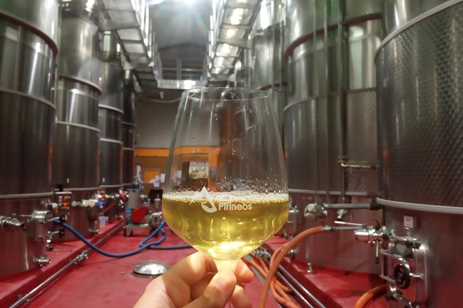 Visit and Wine Tasting With Sausage and BODEGA PIRINEOS Cheese - Sausage and Cheese Delights