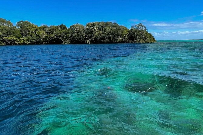 Visit Bacalar Full Day From Merida - Health and Safety