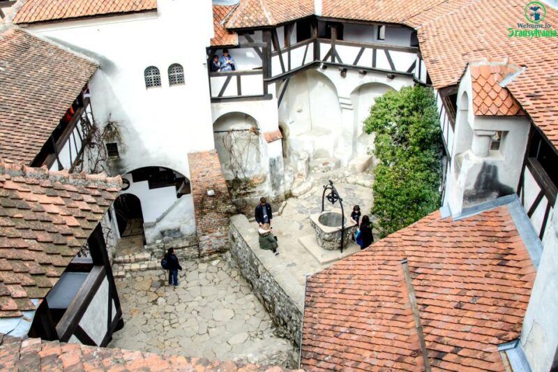 Visit Bear Sanctuary and Bran Castle From Brasov - Key Points
