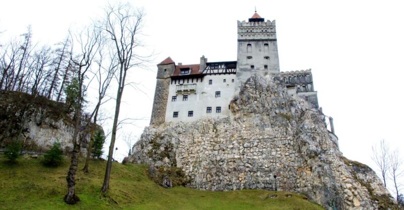 Visit Bear Sanctuary and Bran Castle From Brasov - Activity and Duration