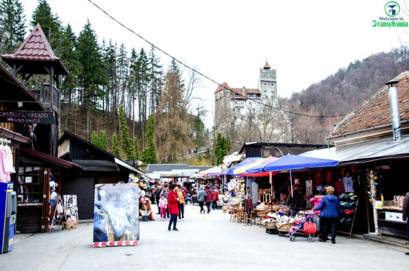 Visit Bear Sanctuary and Bran Castle From Brasov - Pricing and Availability