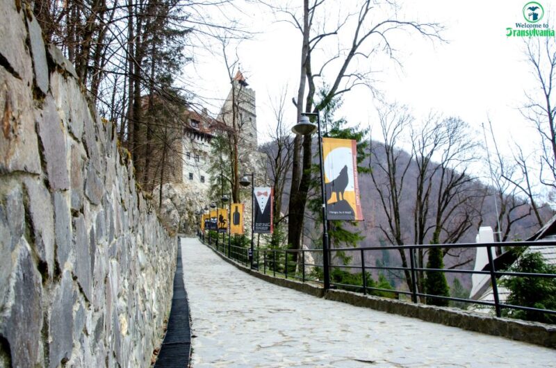 Visit Bear Sanctuary and Bran Castle From Brasov - Important Information