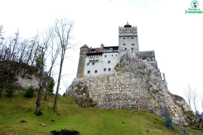 Visit Bear Sanctuary and Bran Castle From Brasov - Frequently Asked Questions