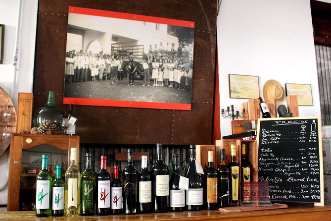 Visit Bodegas Teneguía Winery in La Palma With Wine Tasting - Wine Purchase Information