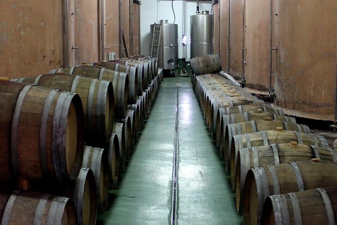 Visit Bodegas Teneguía Winery in La Palma With Wine Tasting - Traveler Reviews
