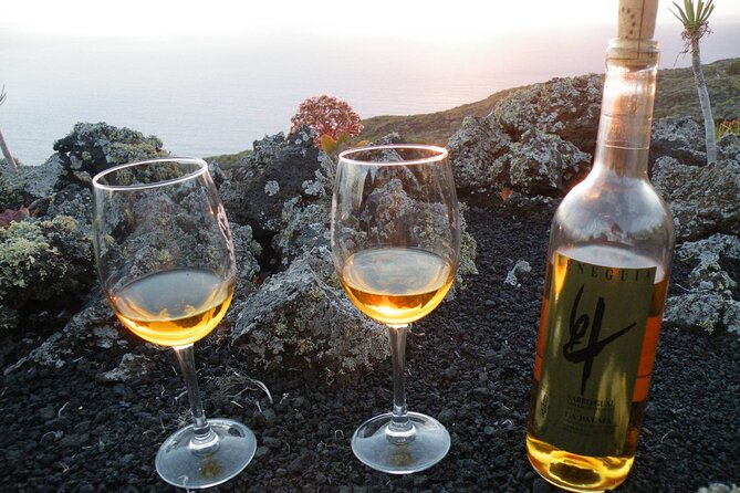 Visit Bodegas Teneguía Winery in La Palma With Wine Tasting - Booking and Cancellation Policies