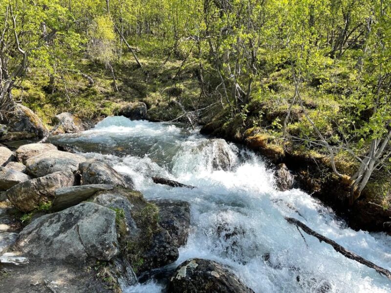 Visit Bubbelen, River Comes Out of the Ground. - Itinerary and Transportation