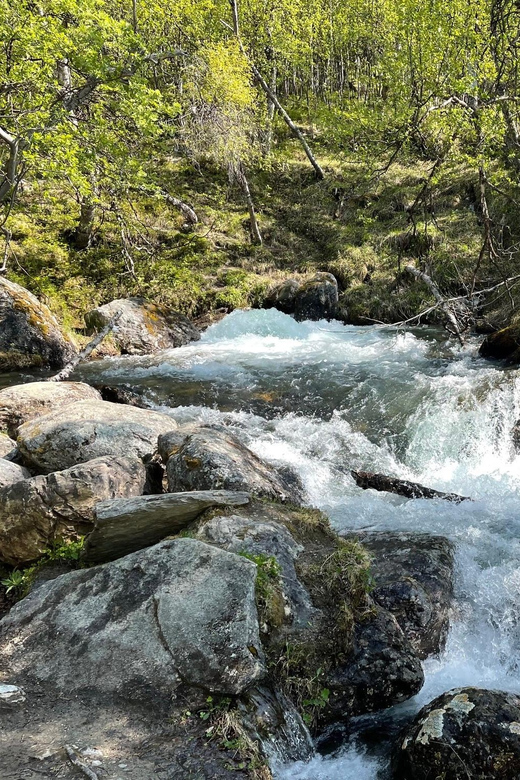 Visit Bubbelen, River Comes Out of the Ground. - Tour Highlights