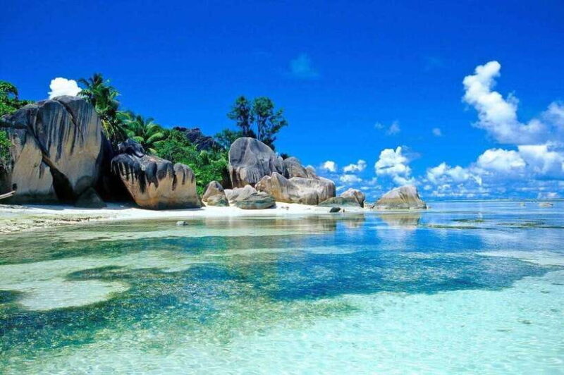 Visit Cham Islands & Snorkelling & Scuba Diving - Itinerary and Experience
