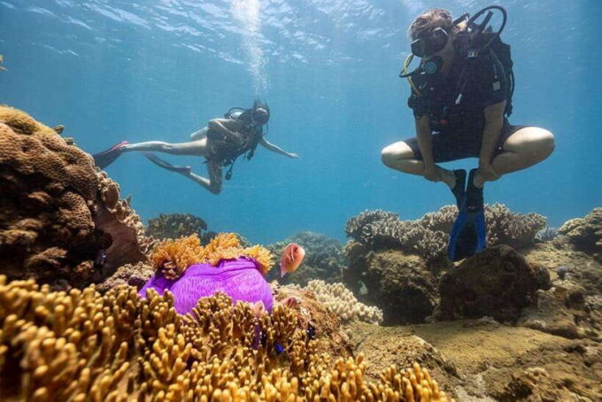 Visit Cham Islands & Snorkelling & Scuba Diving - Tips for Visiting the Cham Islands