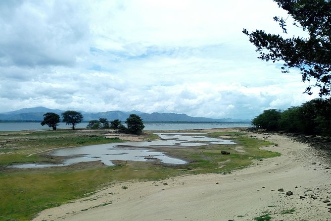 Visit Ella and Udawalawe Safari - 2 Days, All Inclusive - Day 2: Exploring Ella