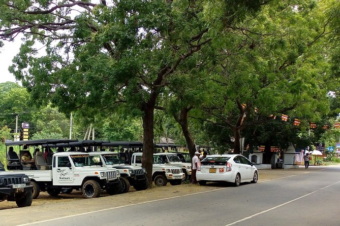Visit Ella and Udawalawe Safari - 2 Days, All Inclusive - Pickup and Start Time