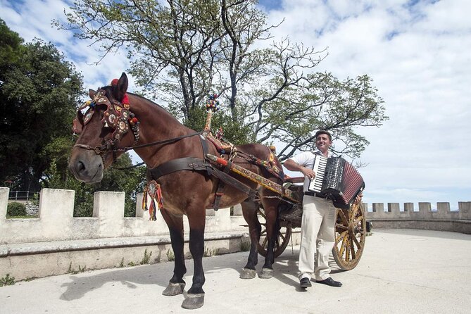 Visit Erice Medival City From Trapani - Preparing for the Tour
