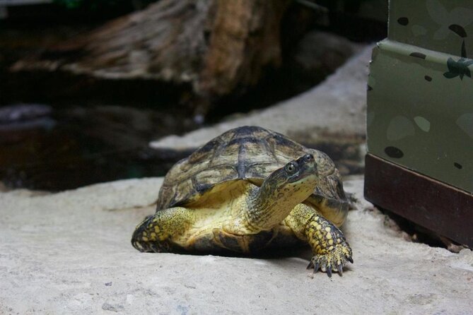 Visit Explora Park and Discover Medellin in Public Transportation - Key Points