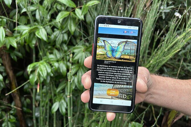 Visit Fort-DE-France with a fun and original track game! - An Interactive and Authentic Way to See Fort-de-France