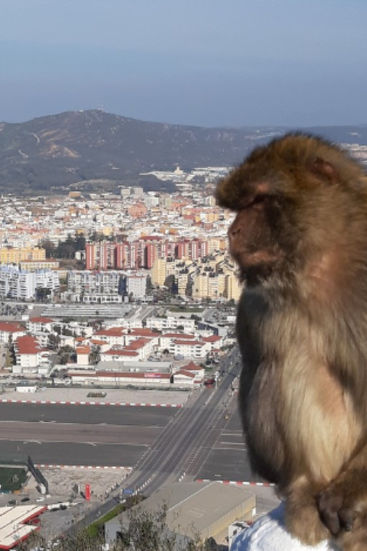 Visit Gibraltar From the Costa Del Sol - Tour Pricing
