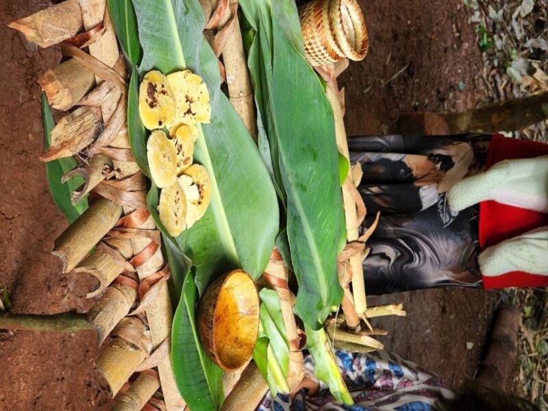 Visit Guarani Village at Mborore Fort With Brunch - Brunch Details