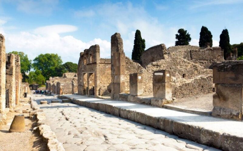 Visit Herculaneum With a Professional Guide - Important Details