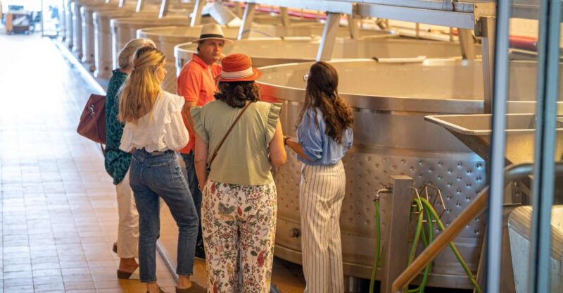 Visit Herdade Da Comporta Winery - Highlights of Experience