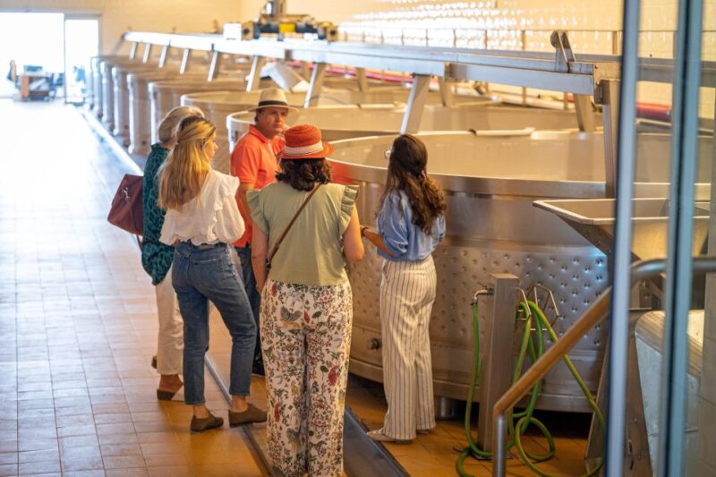 Visit Herdade Da Comporta Winery - Wine-Making Process