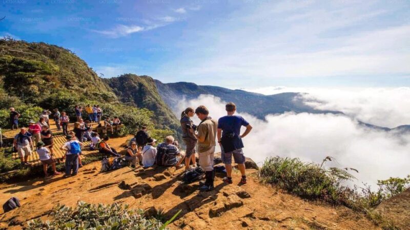 Visit Horton Plains and Nuwara Eliya From Ella - Key Points