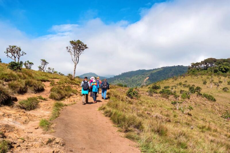 Visit Horton Plains and Nuwara Eliya From Ella - Itinerary and Activities