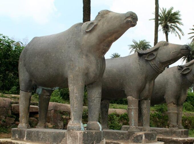 Visit Jodhpur From Jaipur With Transport To Udaipur - Recap