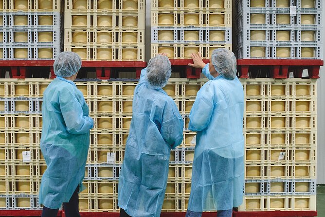 Visit La Antigua Cheese Factory (Cheese Tourism) - About Quesería La Antigua