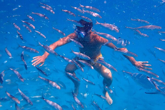 Visit Lobos Island With Snorkel From Corralejo, Fuerteventura - Crossing Schedule and Duration