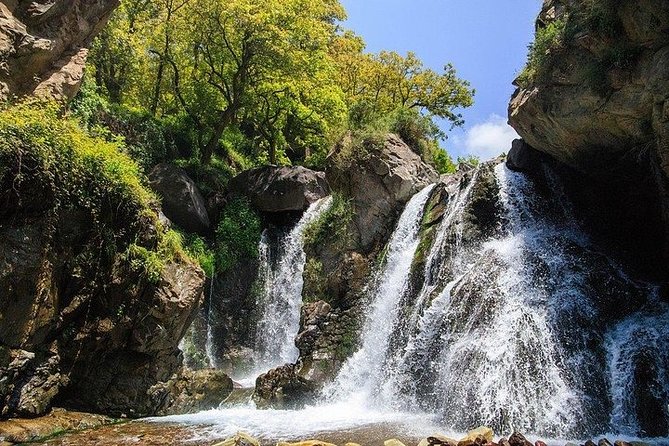 Visit Magical Anima Garden and Imlil Valley Guided Day Trip From Marrakech - Additional Activities Available