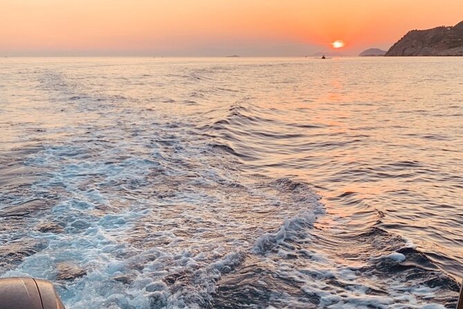 Visit Magical Mljet Island With Private Speedboat - Suitability and Accessibility