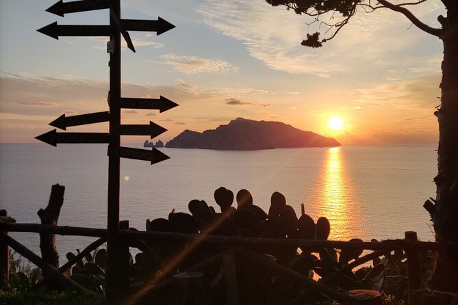 Visit Maiori, Minori, Vietri Sul Mare, and Salerno, the Hidden Amalfi Coast - Private Transportation and Hotel Pickup