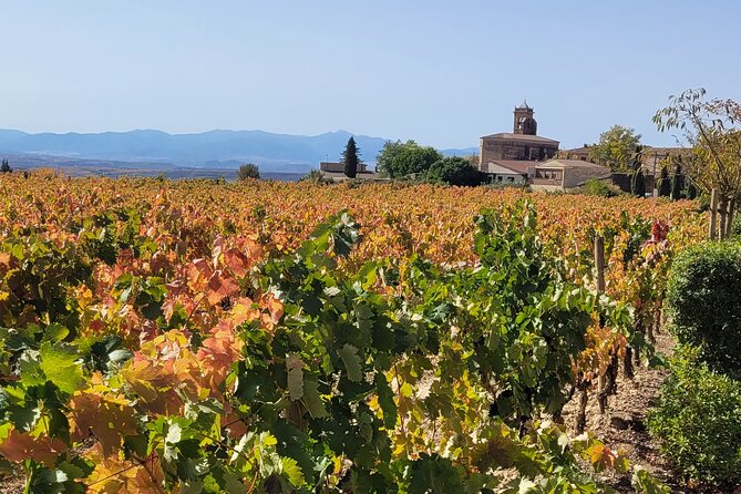 Visit Marques De Riscal & Picnic in Vineyard From Bilbao - Meeting and Pickup Information