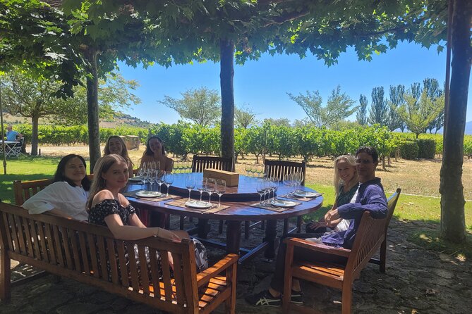 Visit Marques De Riscal & Picnic in Vineyard From Bilbao - What to Expect
