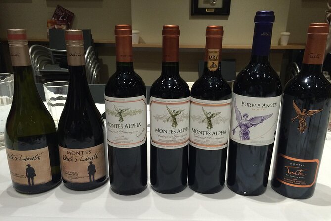 Visit Montes Winery (7th World Best Wine) & Transfer to Hotel - Wine Tasting