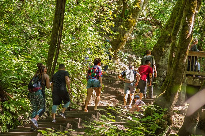 Visit Multnomah Falls, Two Waterfalls, & Vista House - Roundtrip Transportation