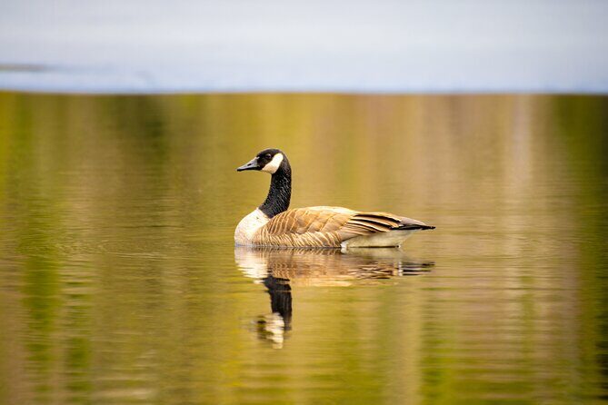 Visit Nature reserve, departure from Montreal, small group (2-4) - Meeting and Departure