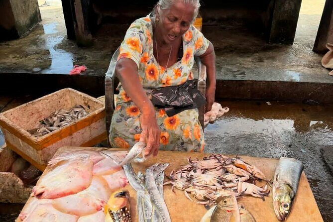 Visit Negombo by Scooty - All Inclusive - The Bottom Line: Is It Worth It?